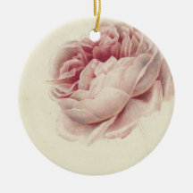 Roze Roos (1792) - Eterno Vintage Arte Botânica