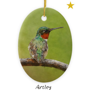 Ornamento De Cerâmica Ruby Throed Hummingbird Pássaro Painting Year
