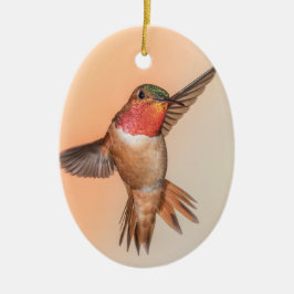 Ornamento De Cerâmica Rufous Hummingbird em Nome do Monograma de Voo