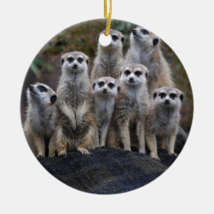 Ornamento De Cerâmica Safari animal África Suricate bonito de Meerkat