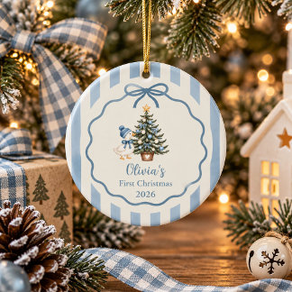 Ornamento De Cerâmica Sage Azul Silly Goose Bebê Primeiro Natal 