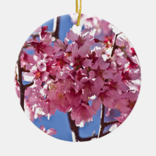 Ornamento De Cerâmica Sakura Flores de Cerejeira Estrelas Vermelhas