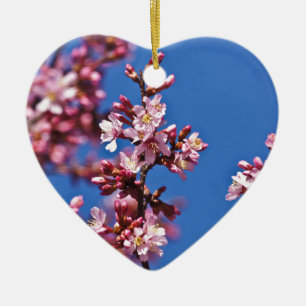 Ornamento De Cerâmica Sakura Flores de Cerejeira Tocando o Azul