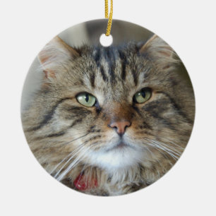 Ornamento De Cerâmica Salgueiro o gato