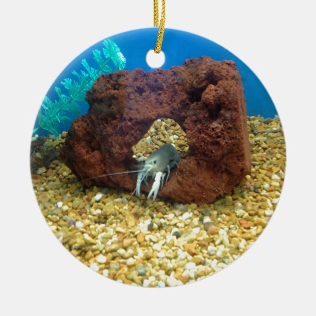 Ornamento De Cerâmica Sam as lagostas azuis da lagosta (Frente)