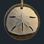Ornamento De Cerâmica Sand Dollar Seashell Beach Ornament Pental<br><div class="desc">Uma concha de areia dólar repousa na costa da praia de areia com luz lateral suave do pôr do sol. Imagem é uma foto colorida tirada em Playa Grande, Costa Rica na Costa do Pacífico. Personalize este pendente de ornamento da concha marítima com seu próprio texto ou imagens usando a...</div>