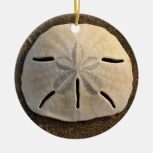 Ornamento De Cerâmica Sand Dollar Seashell Beach Ornament Pental