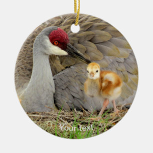Ornamento De Cerâmica Sandhill Crane bird com fotografia a pintinho