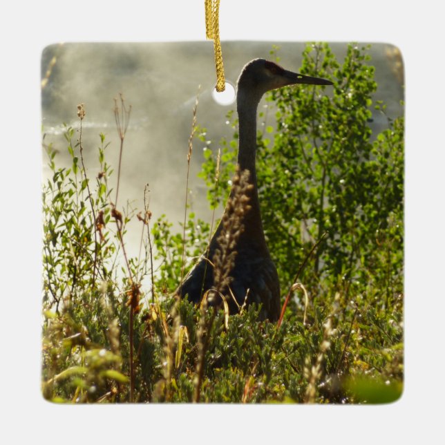 Ornamento De Cerâmica Sandhill Crane em Moose Ponds em Grand Teton (Frente)
