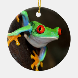 Ornamento De Cerâmica Sapo tropical de Red Eye - Agalychnis Callidryas