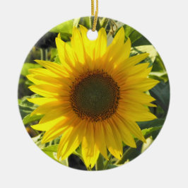 Ornamento De Cerâmica Sassy Sunflower Ornament