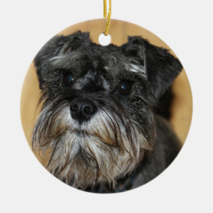 Ornamento De Cerâmica Schnauzer diminuto