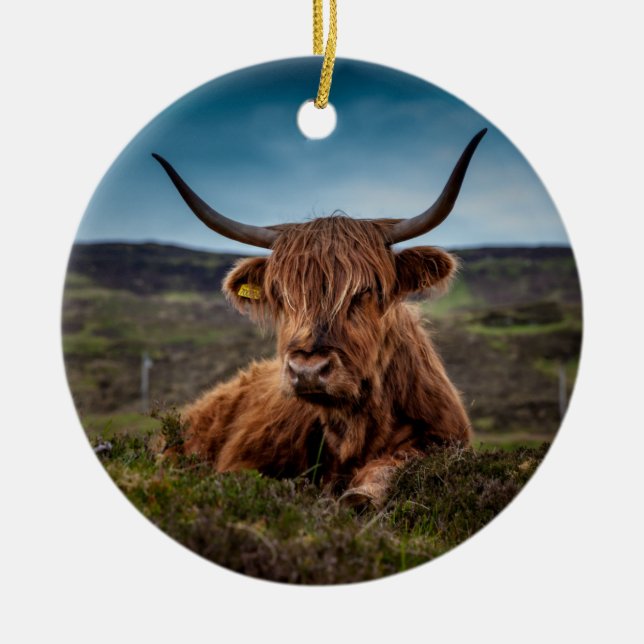 Ornamento De Cerâmica Scottish Highland Cow Longhorn Bull Rancher (Frente)