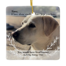 Se O Amor Sozinho Teria Salvado Você Pet Perde