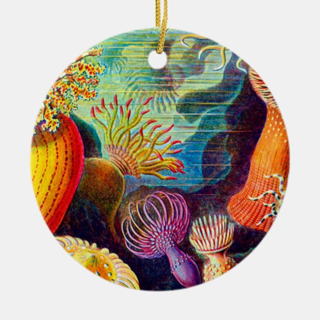 Ornamento De Cerâmica Sea Anemone - Ernst Haeckel (Frente)