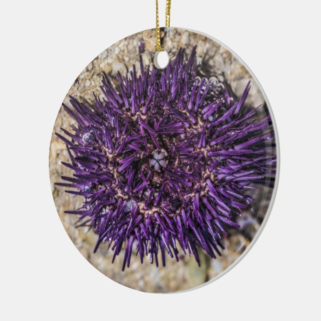 Ornamento De Cerâmica Sea Urchin Ocean Beach Holiday Summer Souvenir (Esquerda)