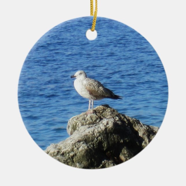 Ornamento De Cerâmica Seagull (Frente)