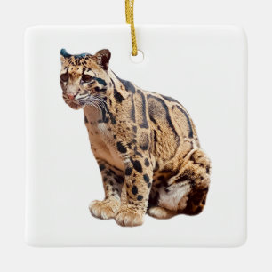 Ornamento De Cerâmica selva de grande gato com fotografia-leopardo nubla