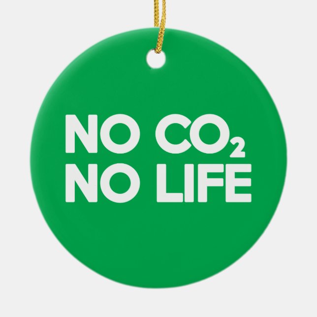 ORNAMENTO DE CERÂMICA SEM CO2 NÃO HÁ VIDA (Frente)