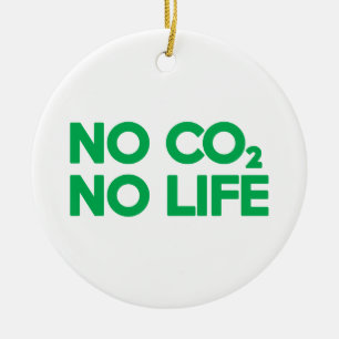 ORNAMENTO DE CERÂMICA SEM CO2 SEM VIDA