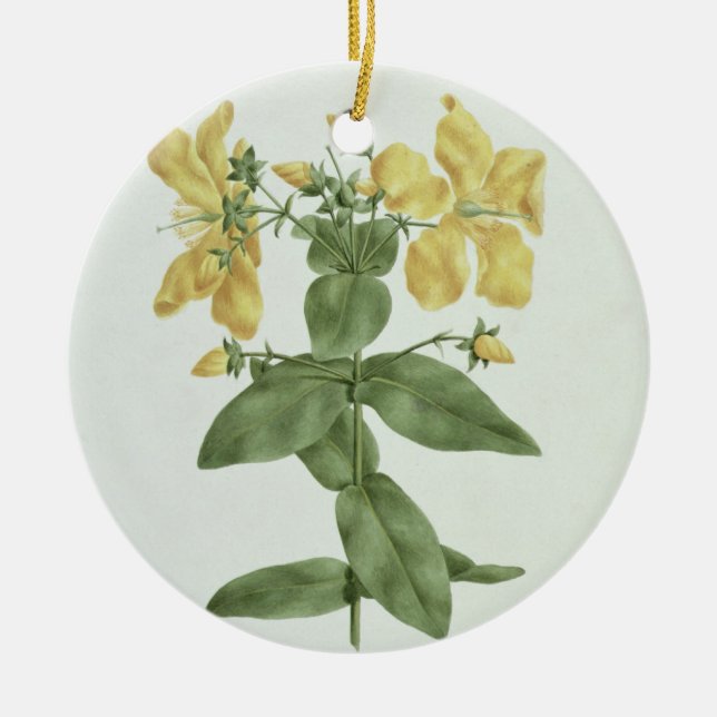 Ornamento De Cerâmica Sensação-Esforço (quartinianum do Hypericum) (w/c (Frente)