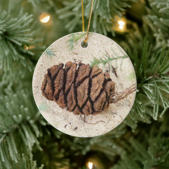 Ornamento De Cerâmica Sequoia Tree Cone, Giant Redwood Ornament (Árvore)