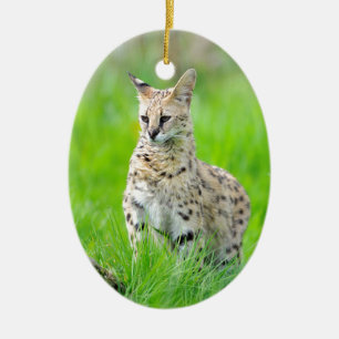 Ornamento De Cerâmica Serval na grama