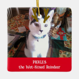 Ornamento De Cerâmica Seu Pet de Reindeer Molhado Foto Pet