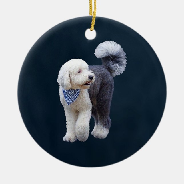 Ornamento De Cerâmica Sheepadoodle Com Cachecol Xadrez Azul (Frente)