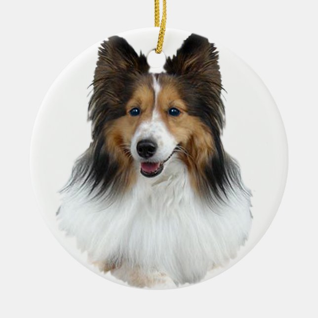 Ornamento De Cerâmica Sheltie Portrait (Frente)