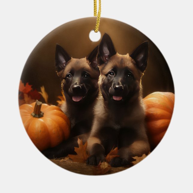 Ornamento De Cerâmica Shepherd Belga Puppy Autumn Delight Pumpkin (Frente)