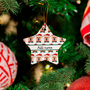 Ornamento De Cerâmica Shiba Inu Cachorros Criam Estrelas de Natal