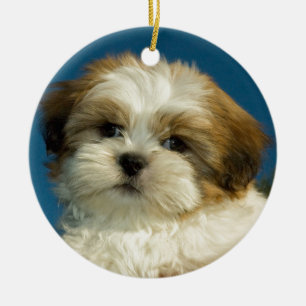 Ornamento De Cerâmica Shih Tzu