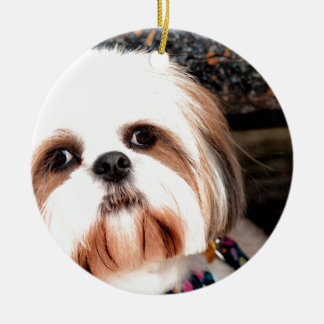 Ornamento De Cerâmica Shih Tzu