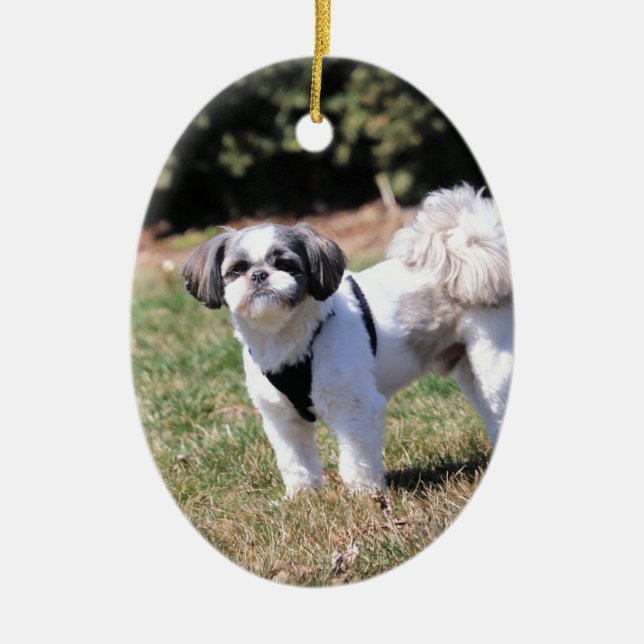 Ornamento De Cerâmica Shih Tzu (Frente)