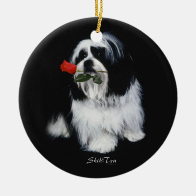 Ornamento De Cerâmica Shih Tzu com aumentou (Frente)