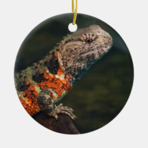 Ornamento De Cerâmica Shinisaurus crocodilurus