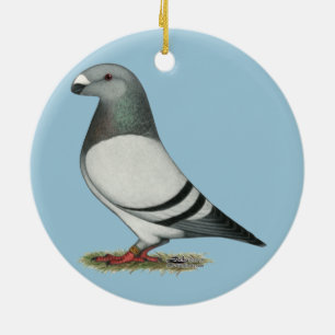 Ornamento De Cerâmica Show Racer Blue Bar Pigeon