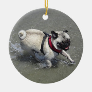Ornamento De Cerâmica Sid the Pug's Beach Photo - Sid the Puggy Rocket