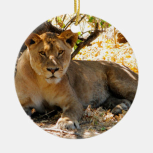 Ornamento De Cerâmica Siesta Time