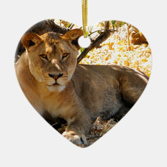 Ornamento De Cerâmica Siesta Time (Frente)