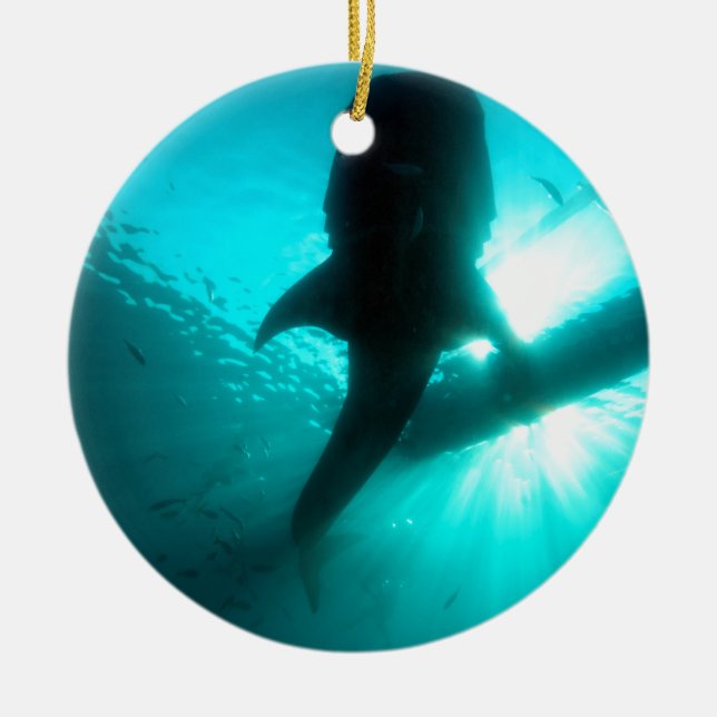 Ornamento De Cerâmica Silhueta de tubarão de baleia (Frente)