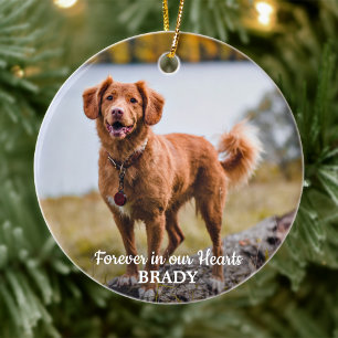 Ornamento De Cerâmica Simples Personalizado 2 Foto Simples Simpatia Pet 