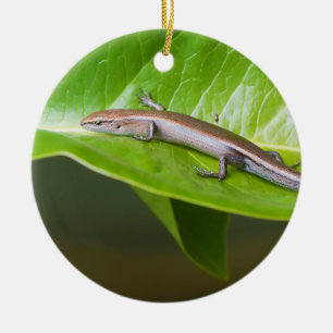 Ornamento De Cerâmica Skink legal metálico Niveoscincus Metallicus