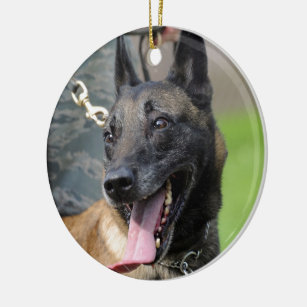 Ornamento De Cerâmica Smiling Belgian Malinois Dog