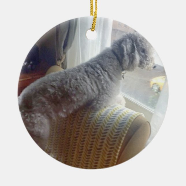 Ornamento De Cerâmica Smokey (Frente)