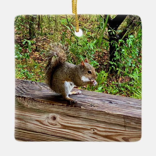 Ornamento De Cerâmica Snack Attack (Frente)