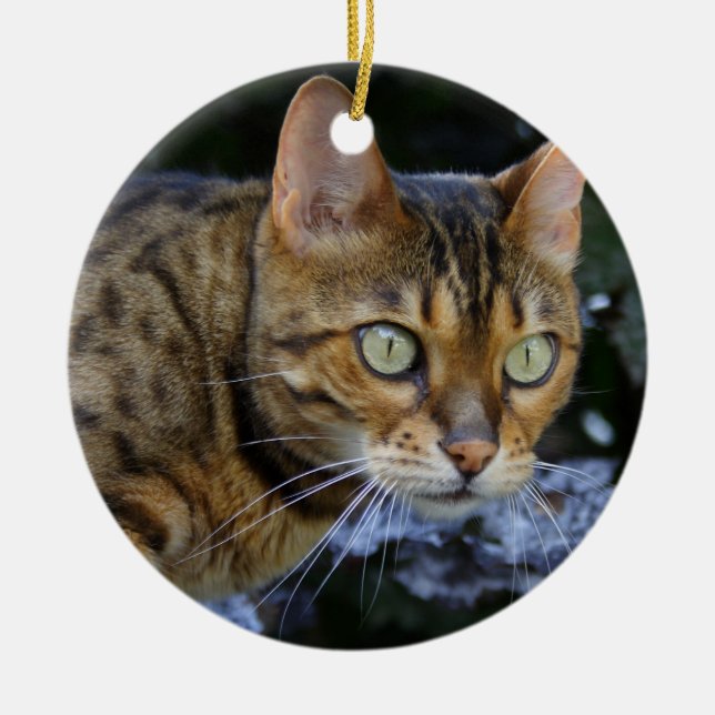 Ornamento De Cerâmica Sneaking Bengal Cat (Frente)