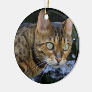 Ornamento De Cerâmica Sneaking Bengal Cat