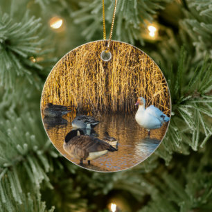 Ornamento De Cerâmica Snow Goose Ornament